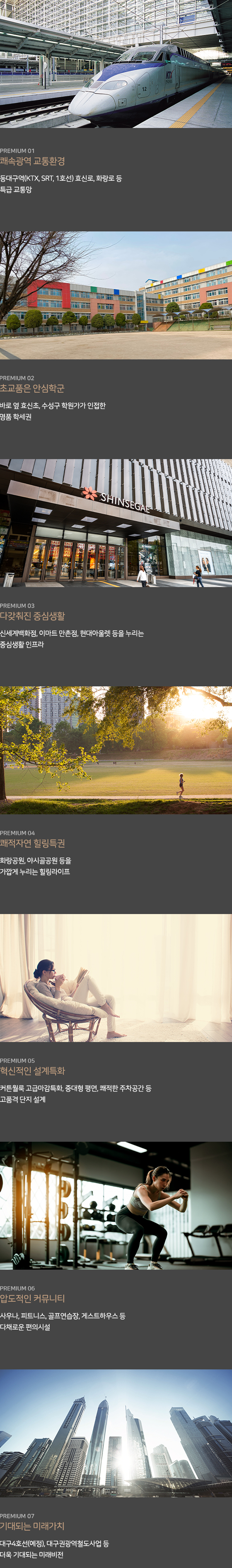 동대구 더 팰리스트 데시앙 프리미엄